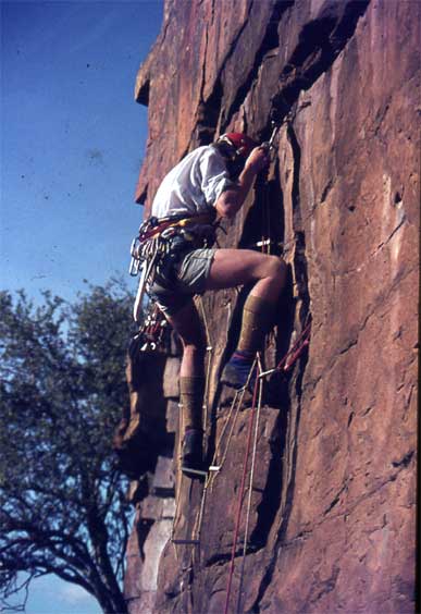 DavidClimbing